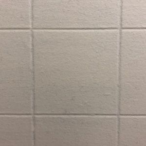 Meet your Posher, Lina